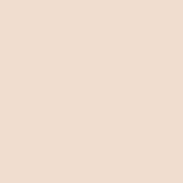Concealer Colors: 170