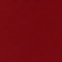 Nail Polish Colors: 240