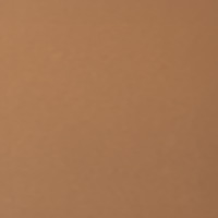 Concealer Colors: 198